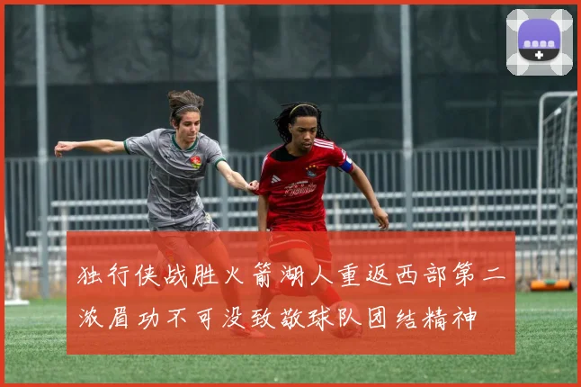 独行侠战胜火箭湖人重返西部第二浓眉功不可没致敬球队团结精神