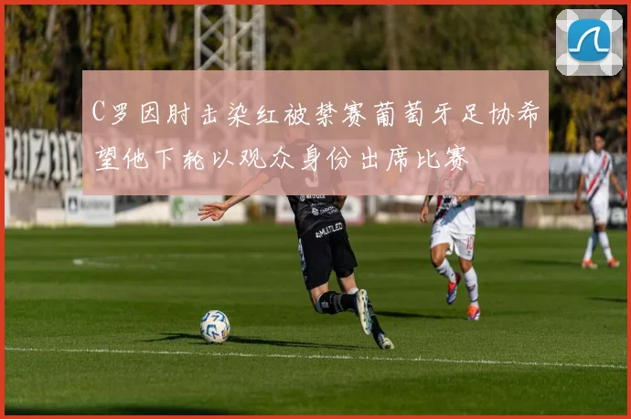 C罗因肘击染红被禁赛葡萄牙足协希望他下轮以观众身份出席比赛
