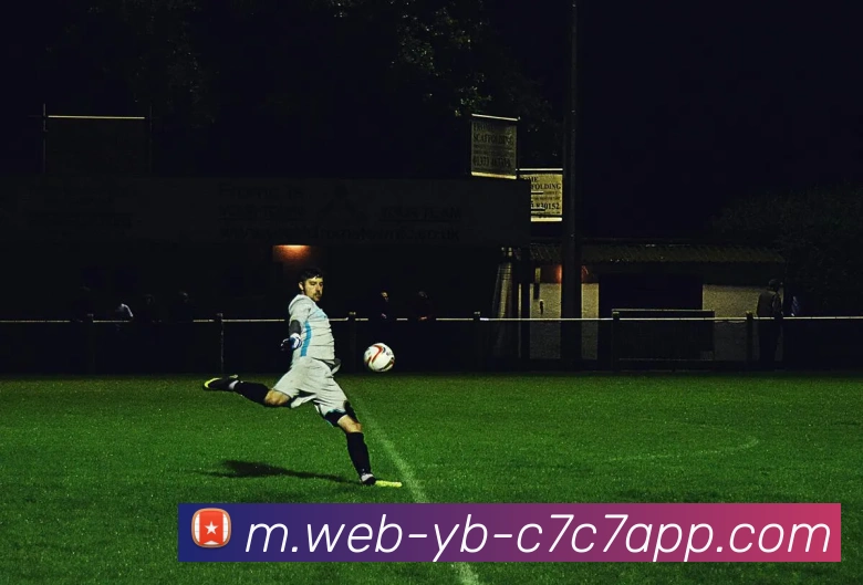 C7C7娱乐平台生态图