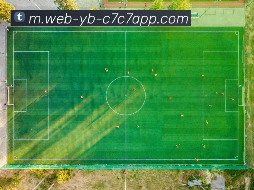 C7C7娱乐APP 封面图